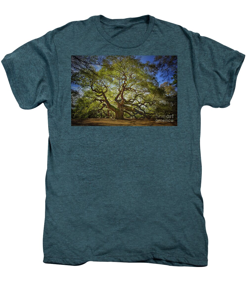 Angel Oak Men's Premium T-Shirt featuring the photograph Angel Oak by Carrie Cranwill