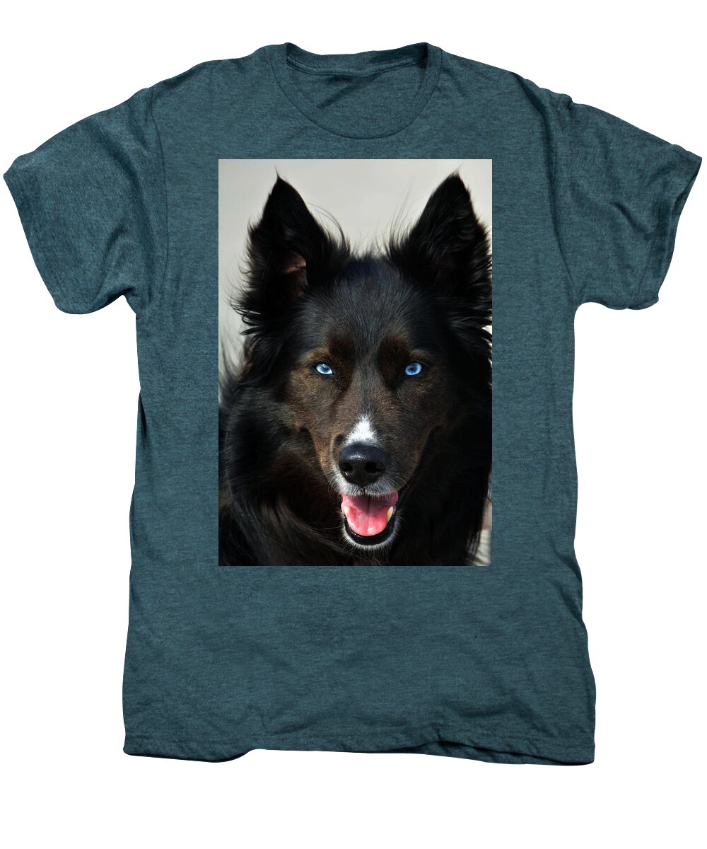 Dogs Men's Premium T-Shirt featuring the photograph Can't Wait 'Til Tomorrow Cause I Get More Handsome EVERY Day by Robert McCubbin