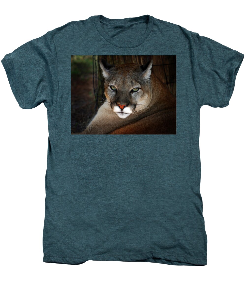 Panther Men's Premium T-Shirt featuring the photograph Florida Panther by Anthony Jones