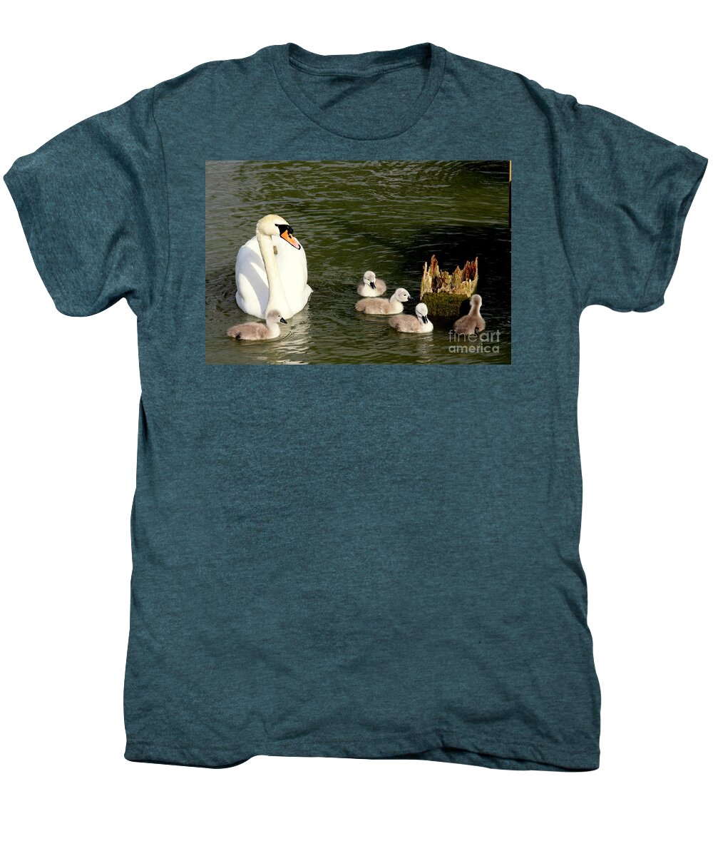 Swan Men's Premium T-Shirt featuring the photograph Keeping A Watchful Eye by Linsey Williams