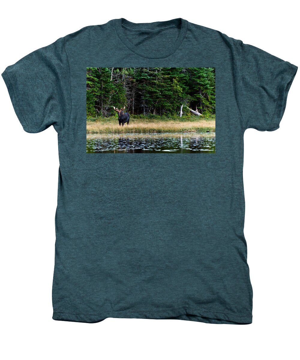 Animal Men's Premium T-Shirt featuring the photograph Moose by U Schade