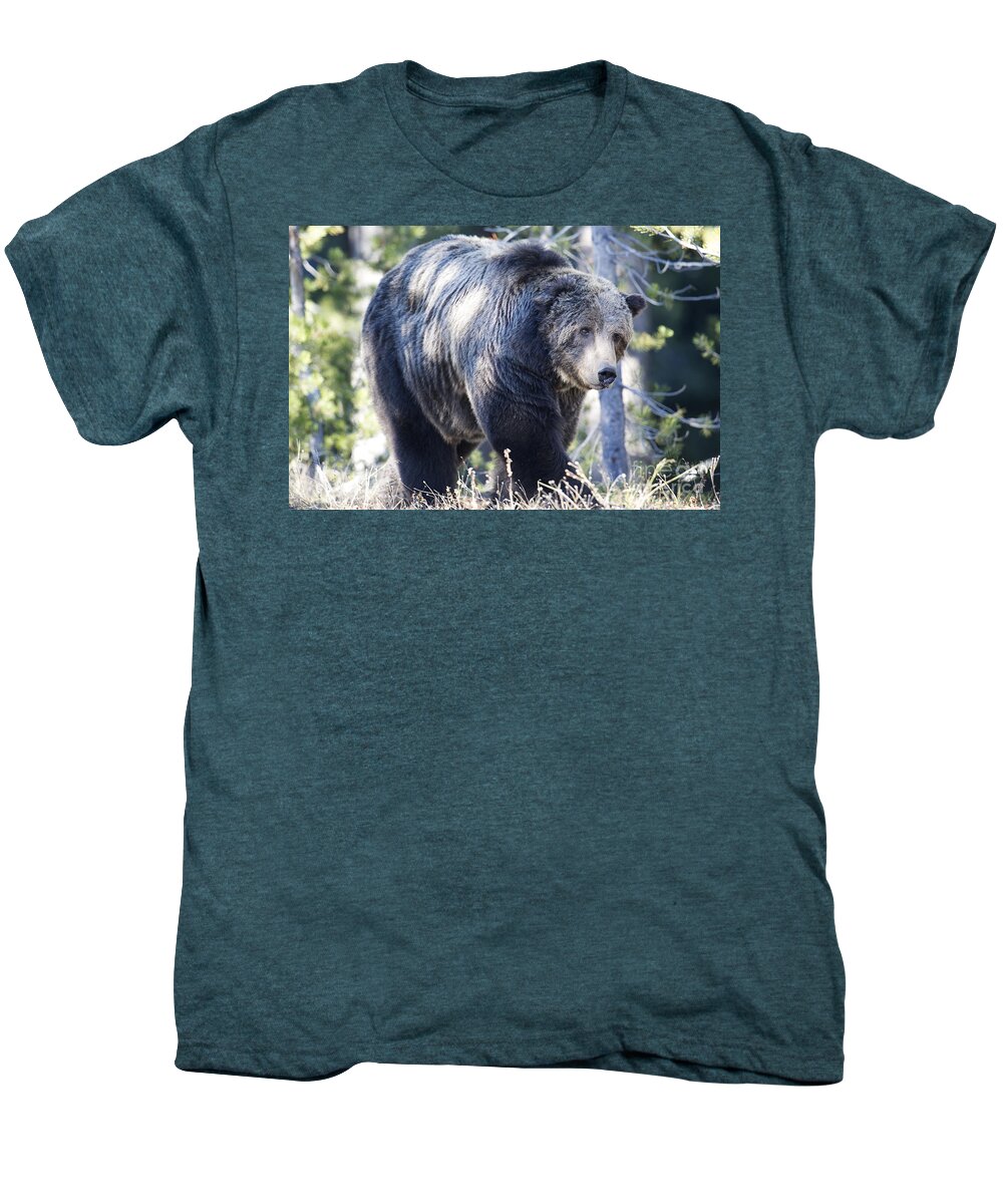 Grizzly Bear Men's Premium T-Shirt featuring the photograph Scarface by Deby Dixon