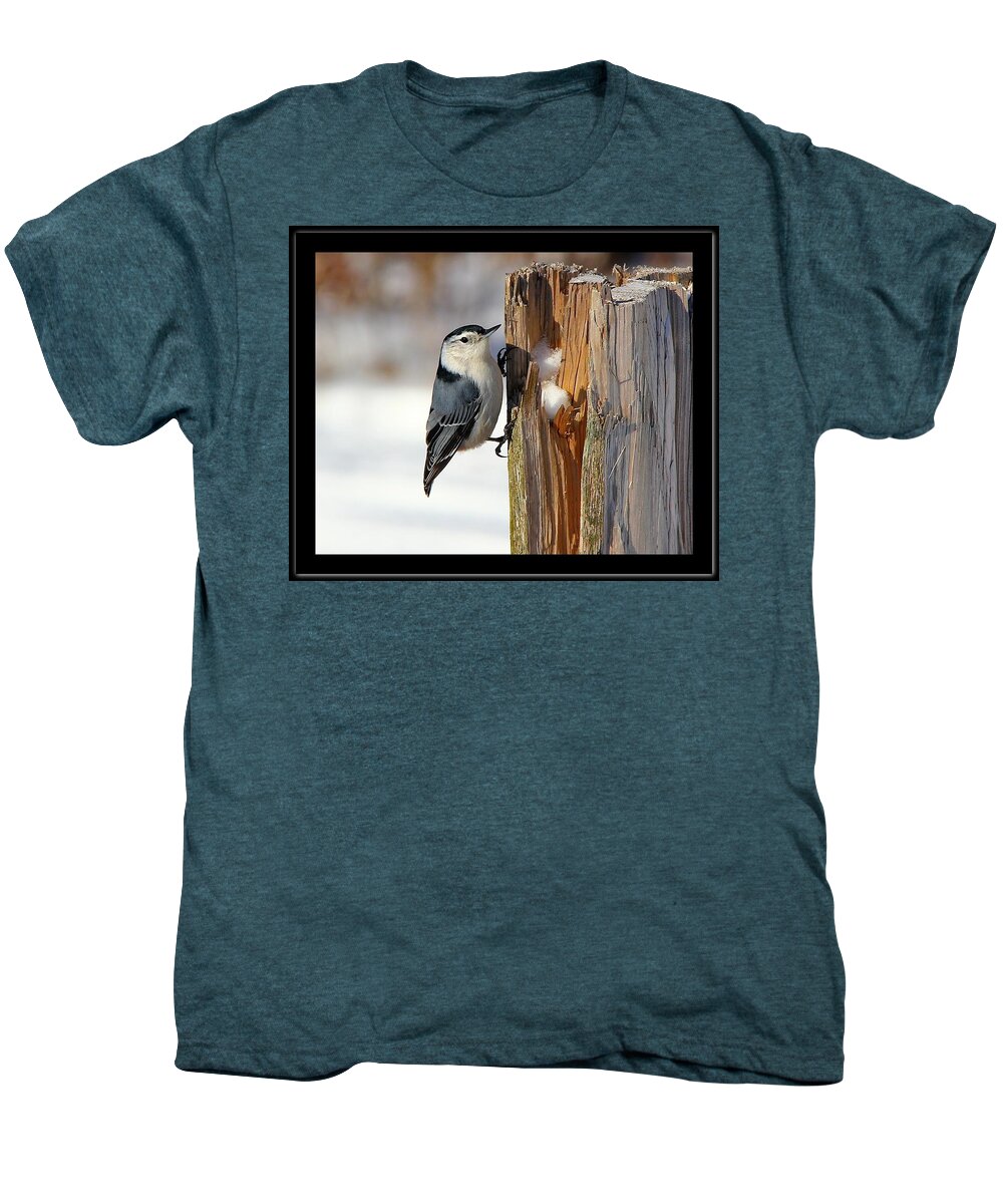 Bird Men's Premium T-Shirt featuring the photograph The Nut Cracker by Davandra Cribbie