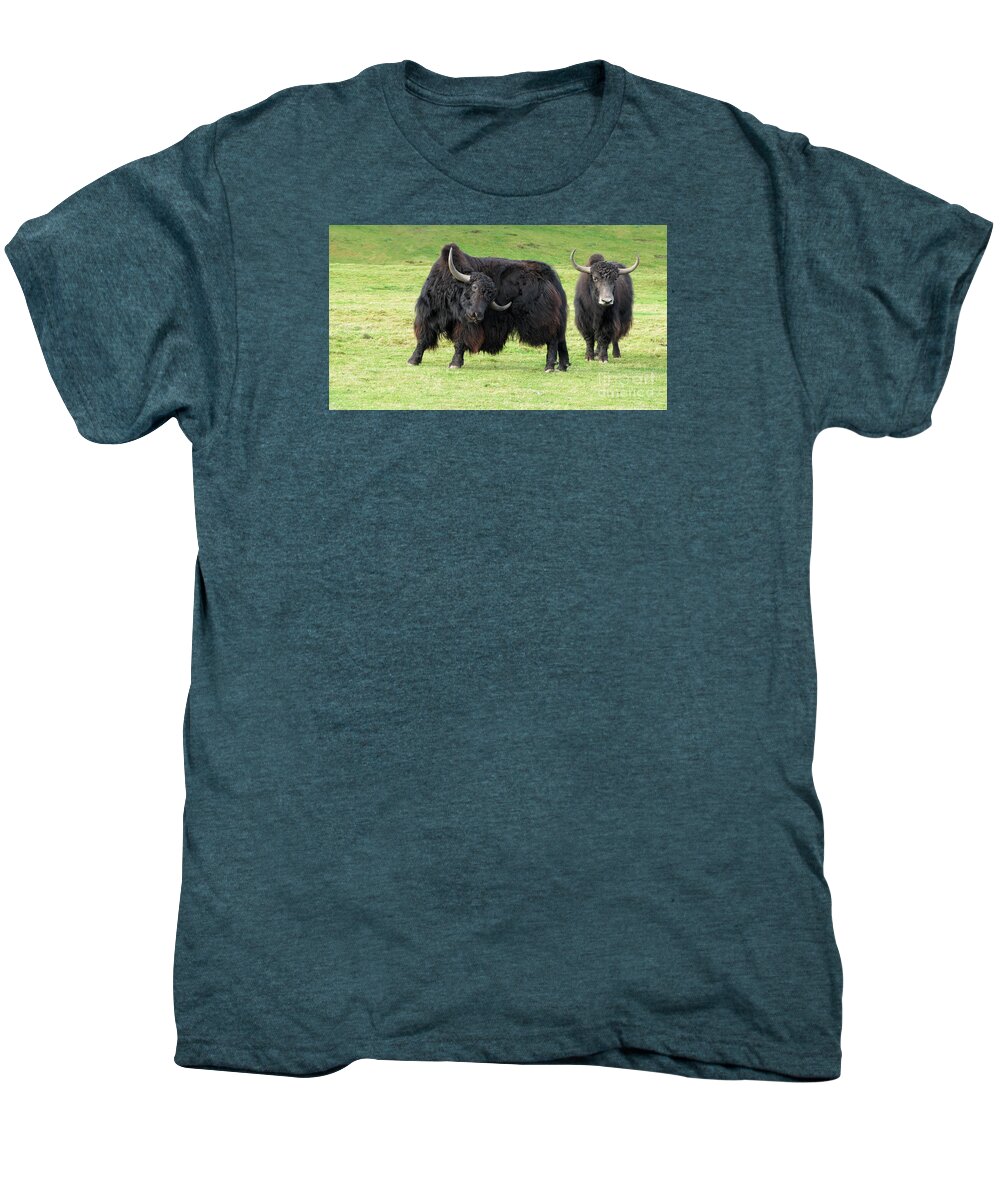 Yak Men's Premium T-Shirt featuring the photograph Yaketty yak by Liz Leyden