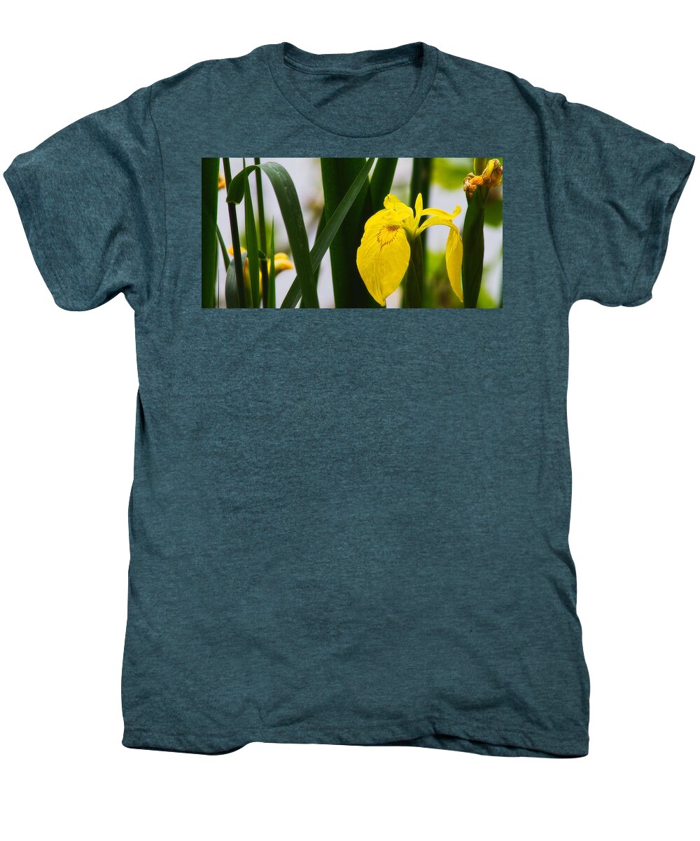 Europe Men's Premium T-Shirt featuring the photograph Yellow iris by Roberto Pagani