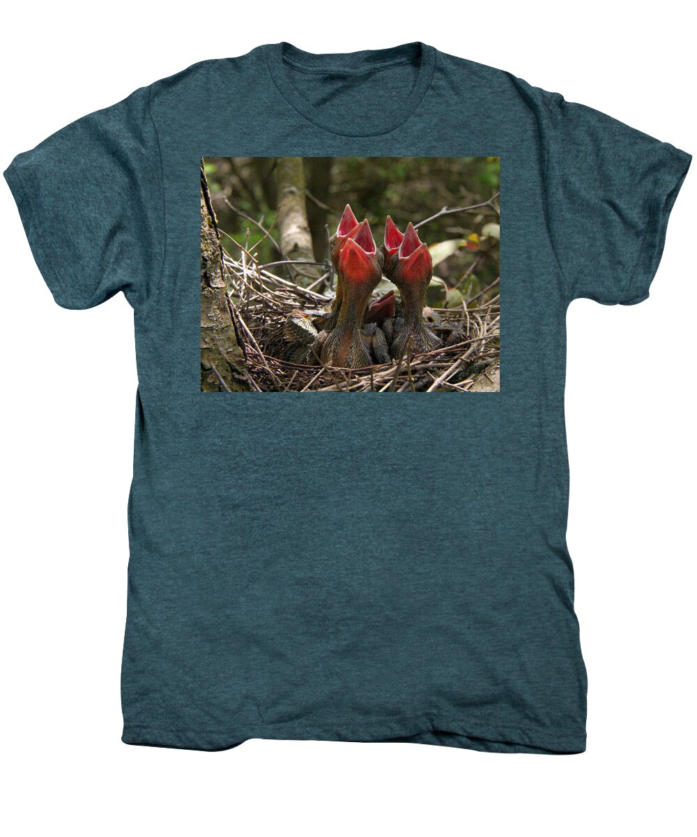 Bird Men's Premium T-Shirt featuring the photograph From the Mouthes of Babes by Davandra Cribbie