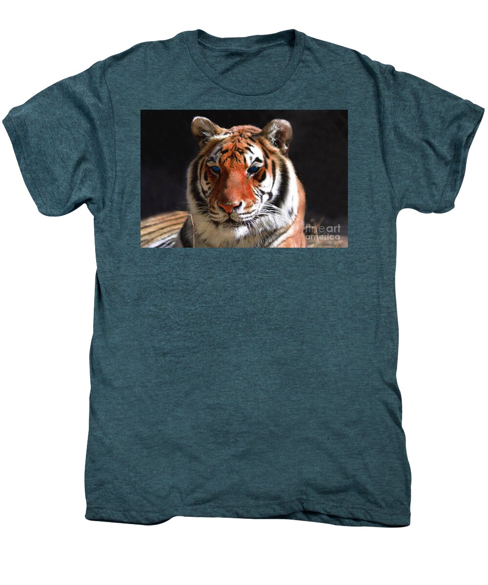 Tiger Men's Premium T-Shirt featuring the photograph Tiger Blue Eyes by Rebecca Margraf