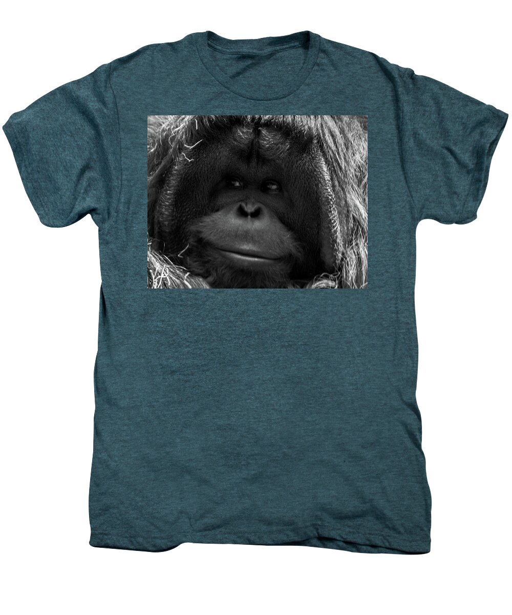 Orangutan Men's Premium T-Shirt featuring the photograph Orangutan #1 by Martin Newman