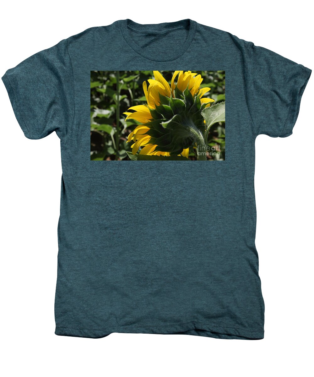 Sunflower Men's Premium T-Shirt featuring the photograph Sunflower series 09 #1 by Amanda Barcon