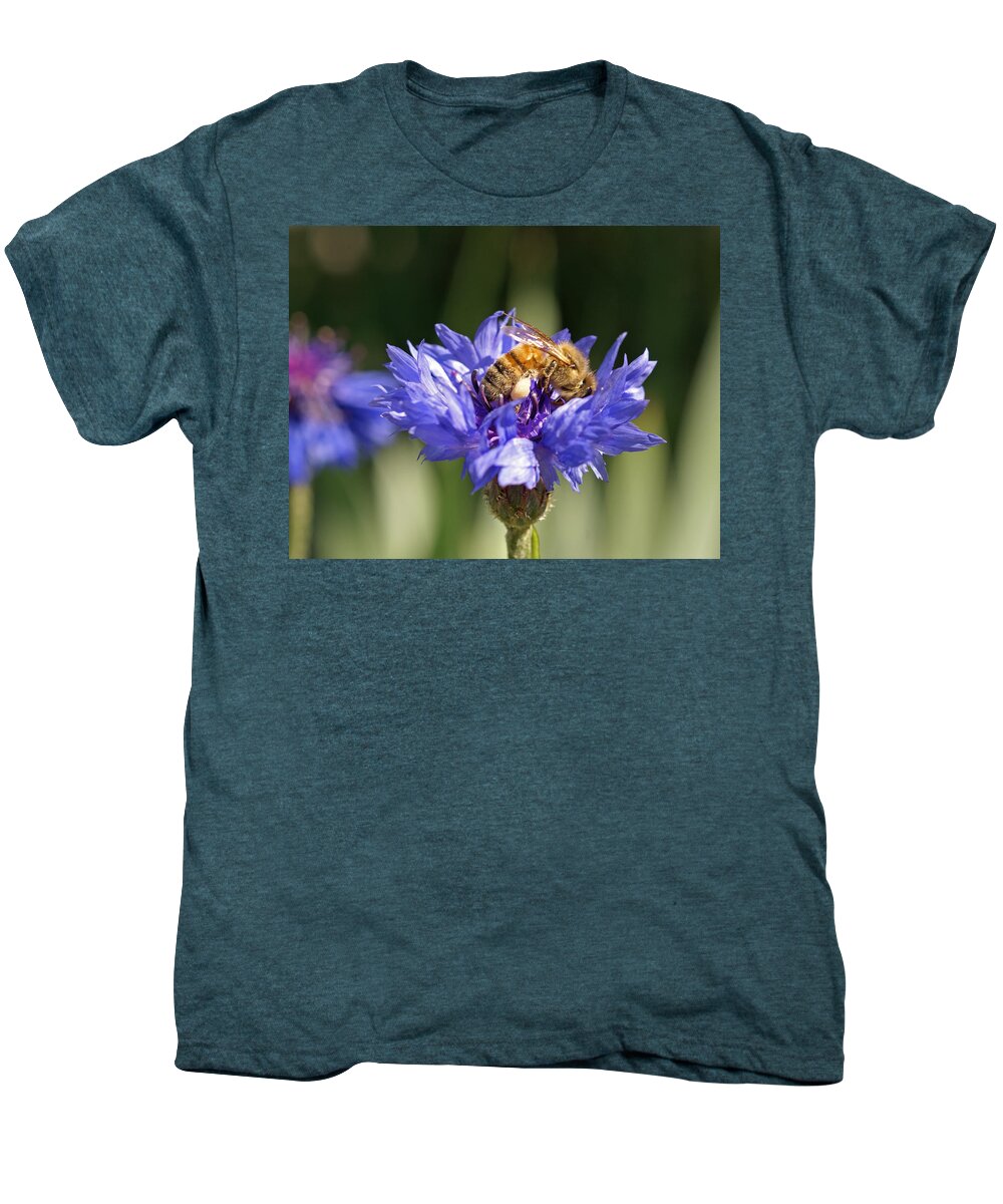 Bee. Flower Men's Premium T-Shirt featuring the photograph Bachelor Button and Bee by Heather Coen