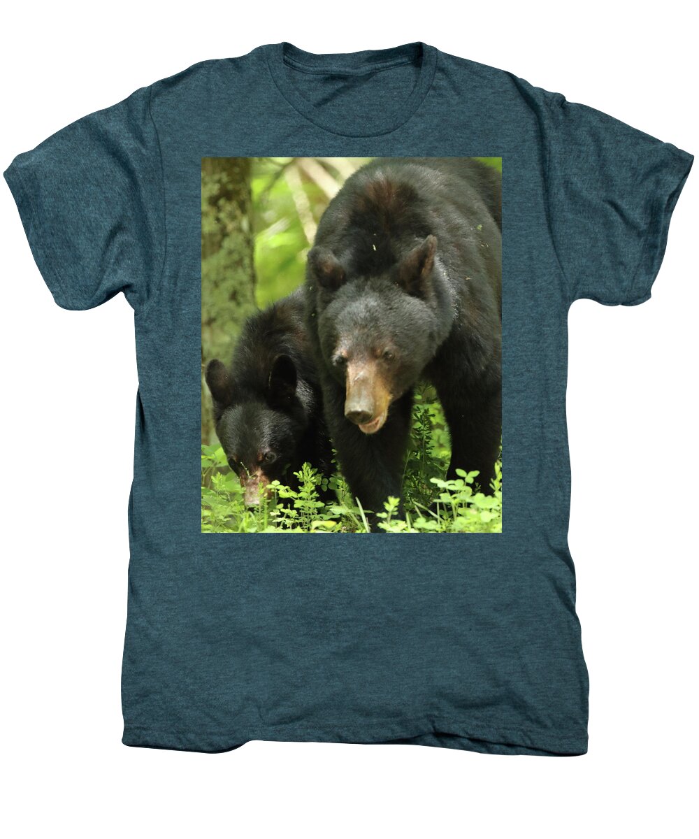 American Black Bear Men's Premium T-Shirt featuring the photograph Black Bear and cub on ground by Coby Cooper