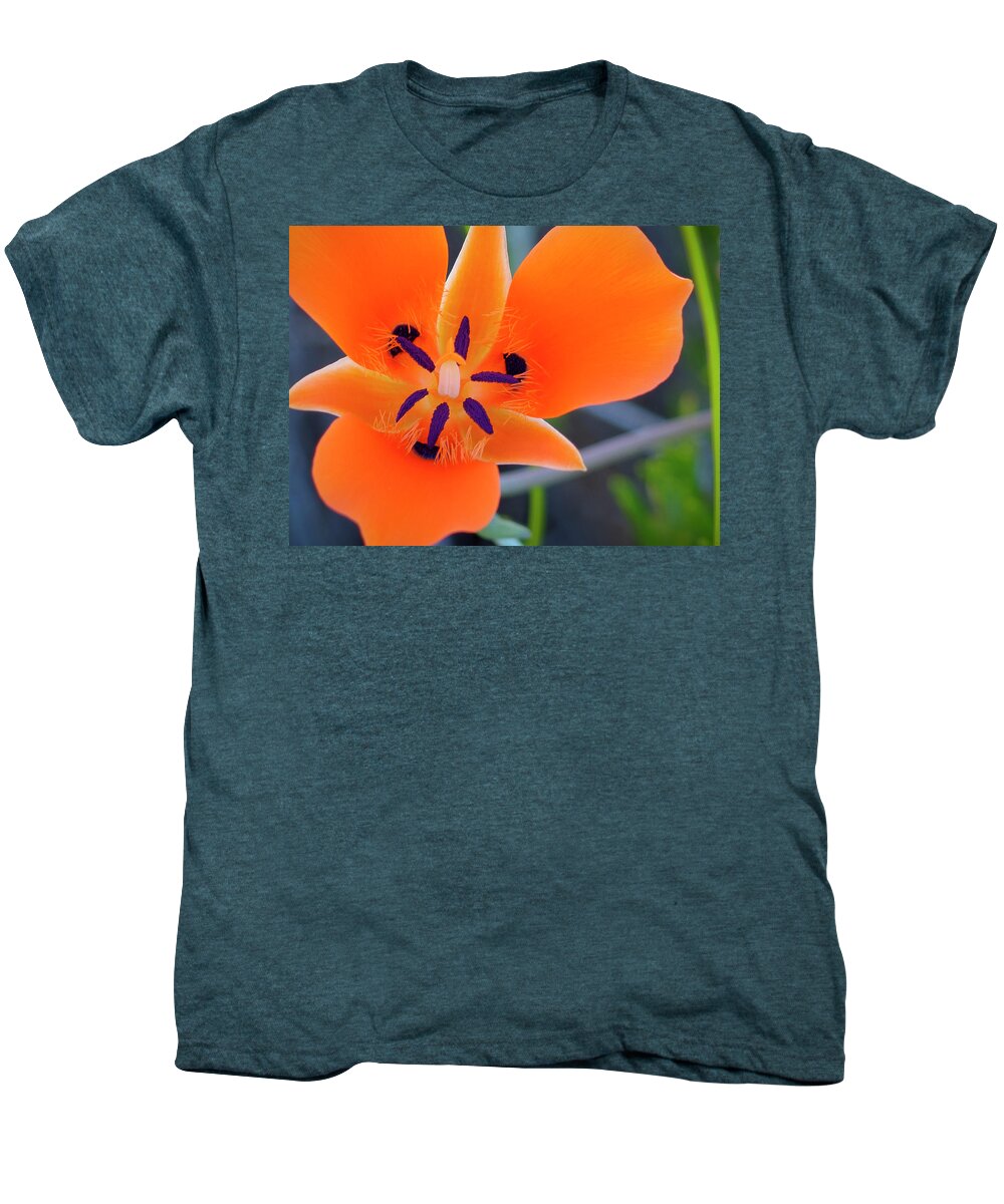 Flowers Men's Premium T-Shirt featuring the photograph Desert Wildflower by Penny Lisowski