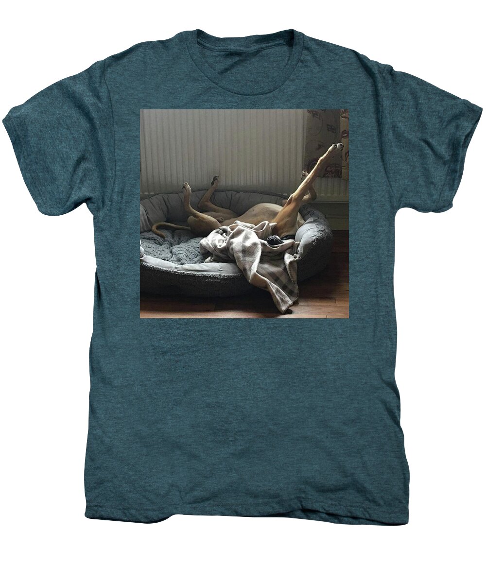 Lurcher Men's Premium T-Shirt featuring the photograph Finly Seems To Be Settling Into His New by John Edwards