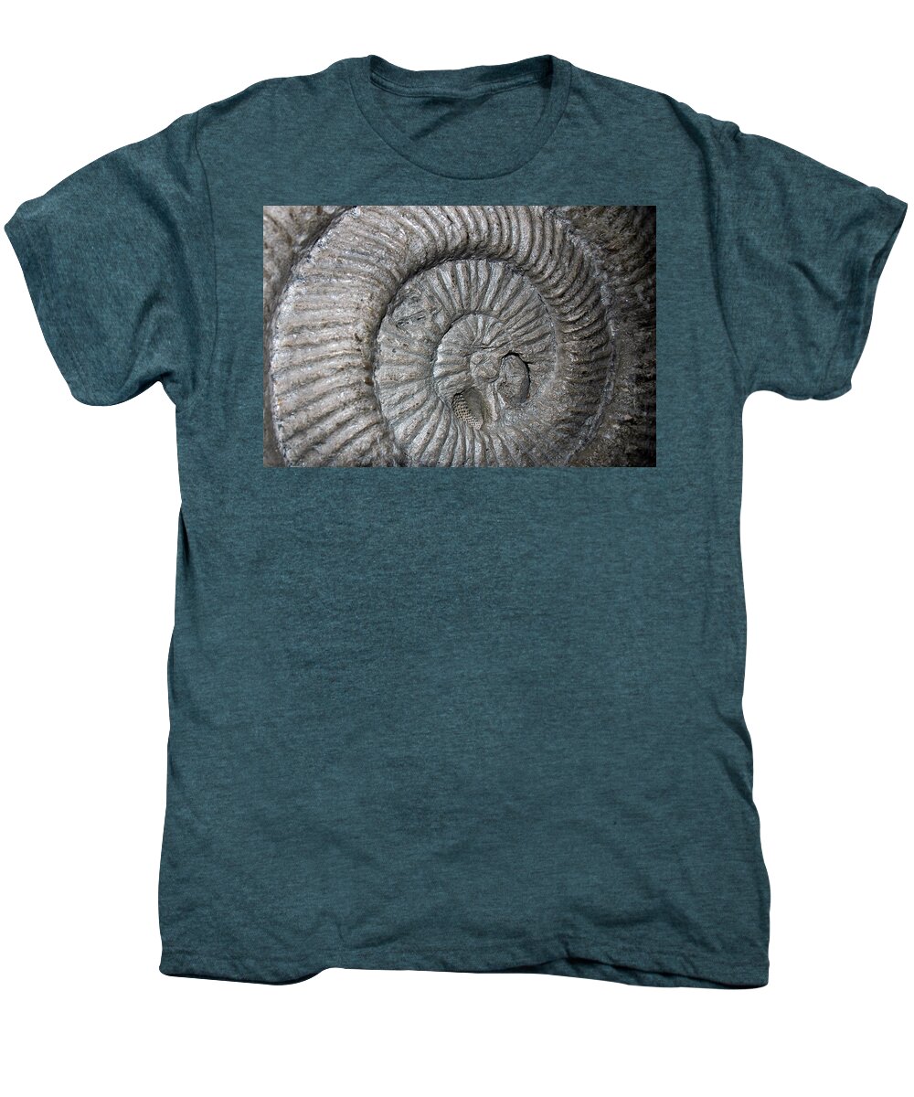 Usa Men's Premium T-Shirt featuring the photograph Fossil Spiral by LeeAnn McLaneGoetz McLaneGoetzStudioLLCcom