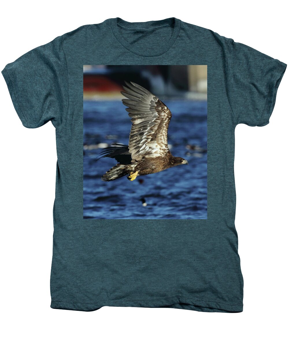 Eagle Men's Premium T-Shirt featuring the photograph Juvenile Bald Eagle over water by Coby Cooper