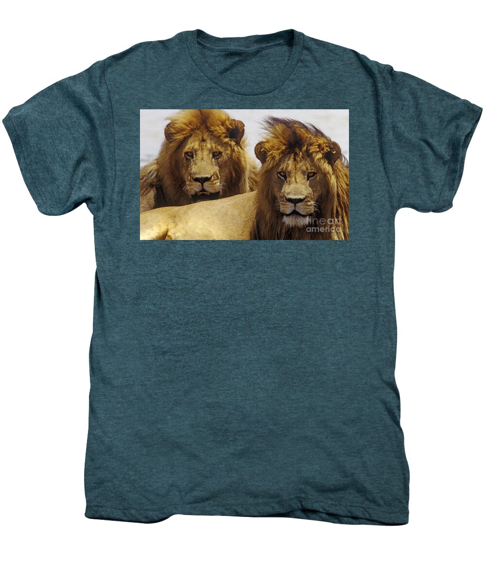 Tourism Men's Premium T-Shirt featuring the photograph Lion Brothers - Serengeti Plains by Craig Lovell