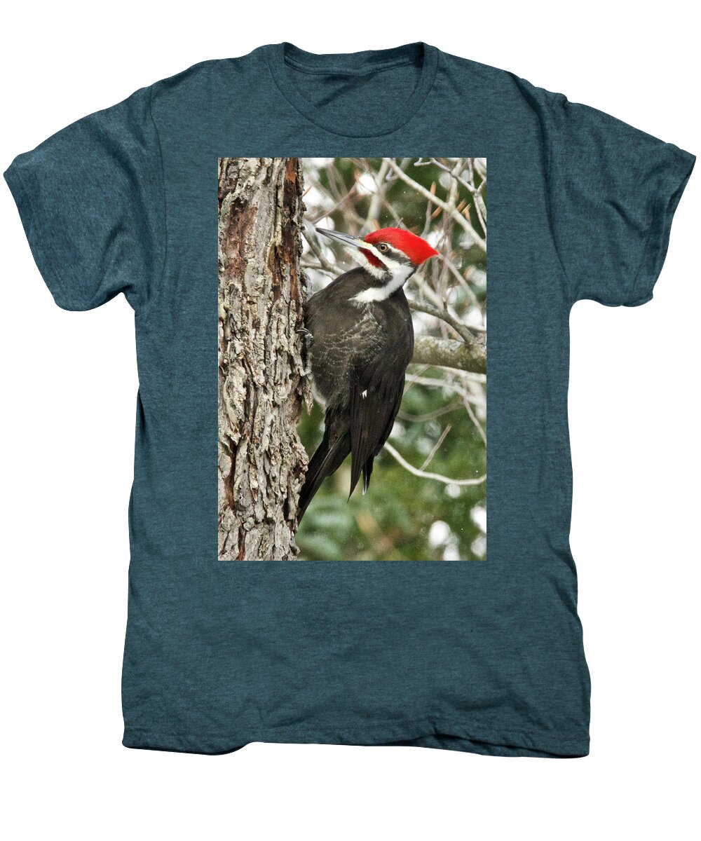 Red Men's Premium T-Shirt featuring the photograph Male Pileated Woodpecker 6069. by Michael Peychich