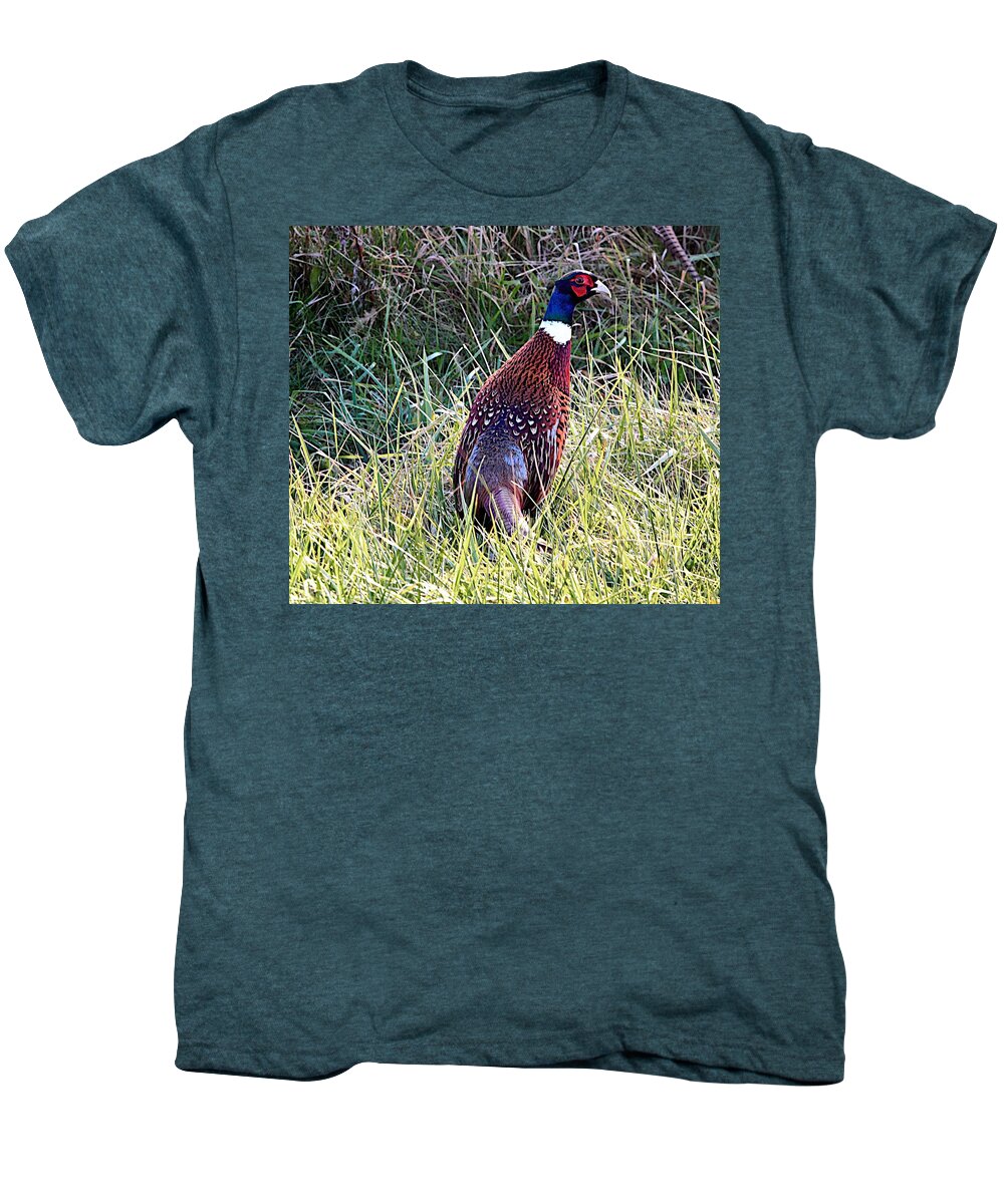 Pheasant Men's Premium T-Shirt featuring the photograph Ring Neck Pheasant by Robert Pearson