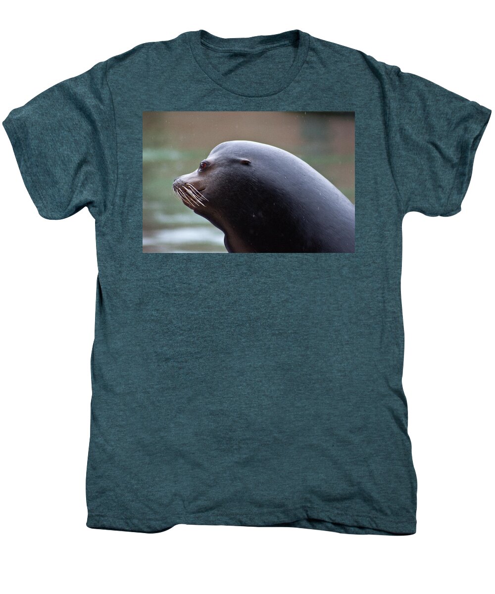 Sea Lion Men's Premium T-Shirt featuring the photograph Sea Lion's Profile In The Rain by Miroslava Jurcik