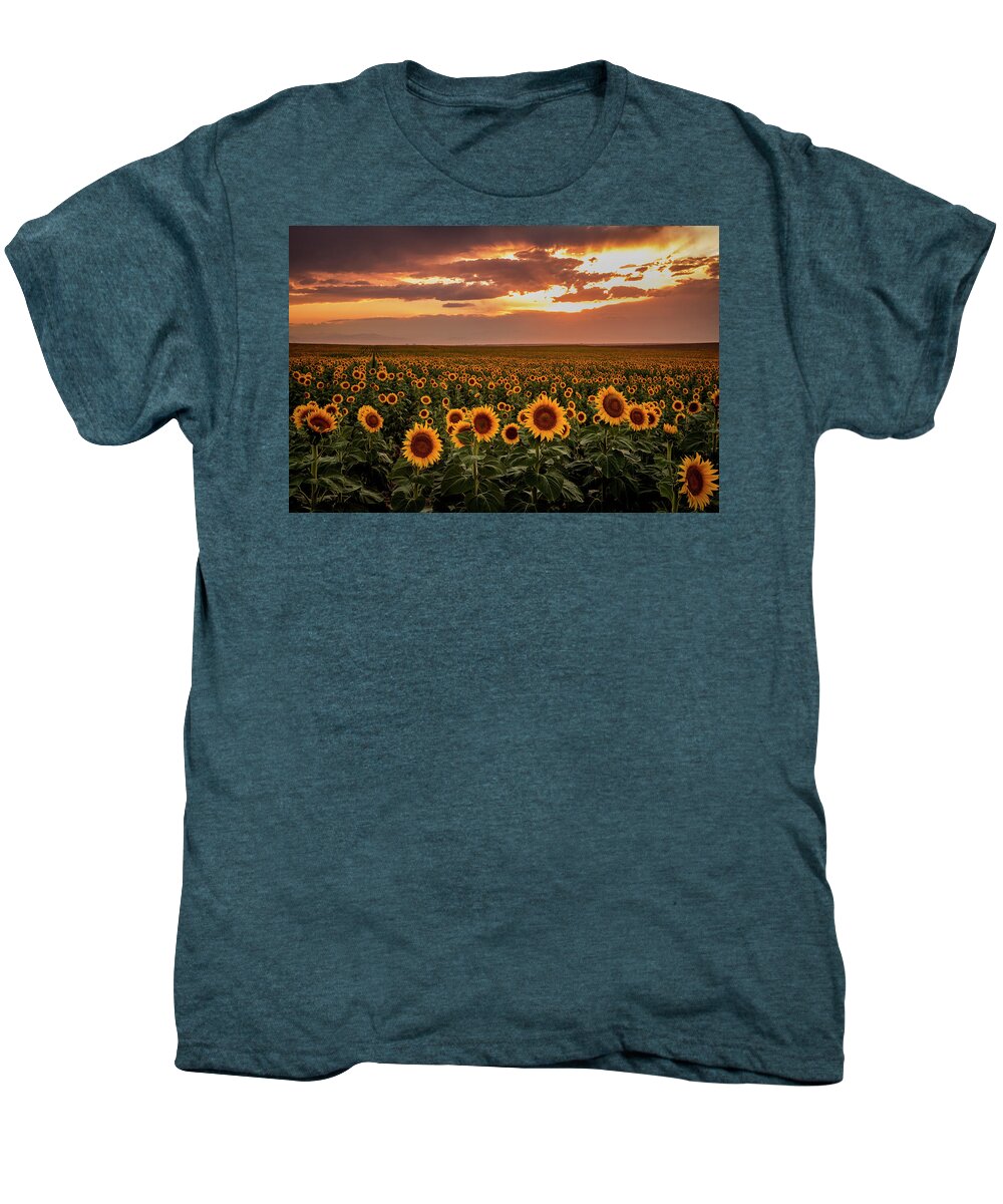 Colorado Men's Premium T-Shirt featuring the photograph Sunset Over Colorado Sunflower Fields by Teri Virbickis