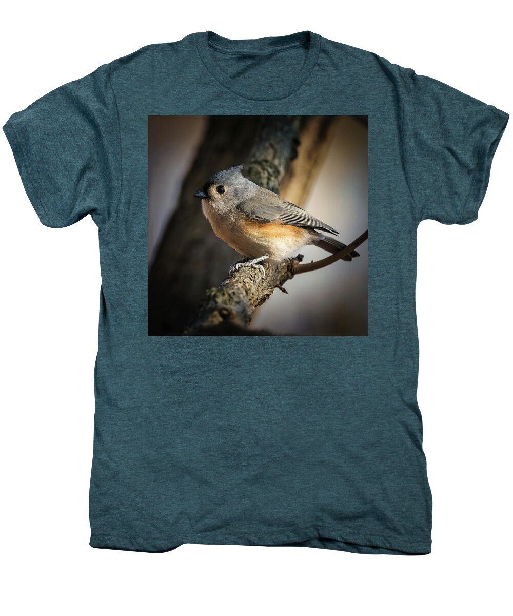 Tufted Titmouse Men's Premium T-Shirt featuring the photograph Tufted Titmouse #1 by Alexander Image