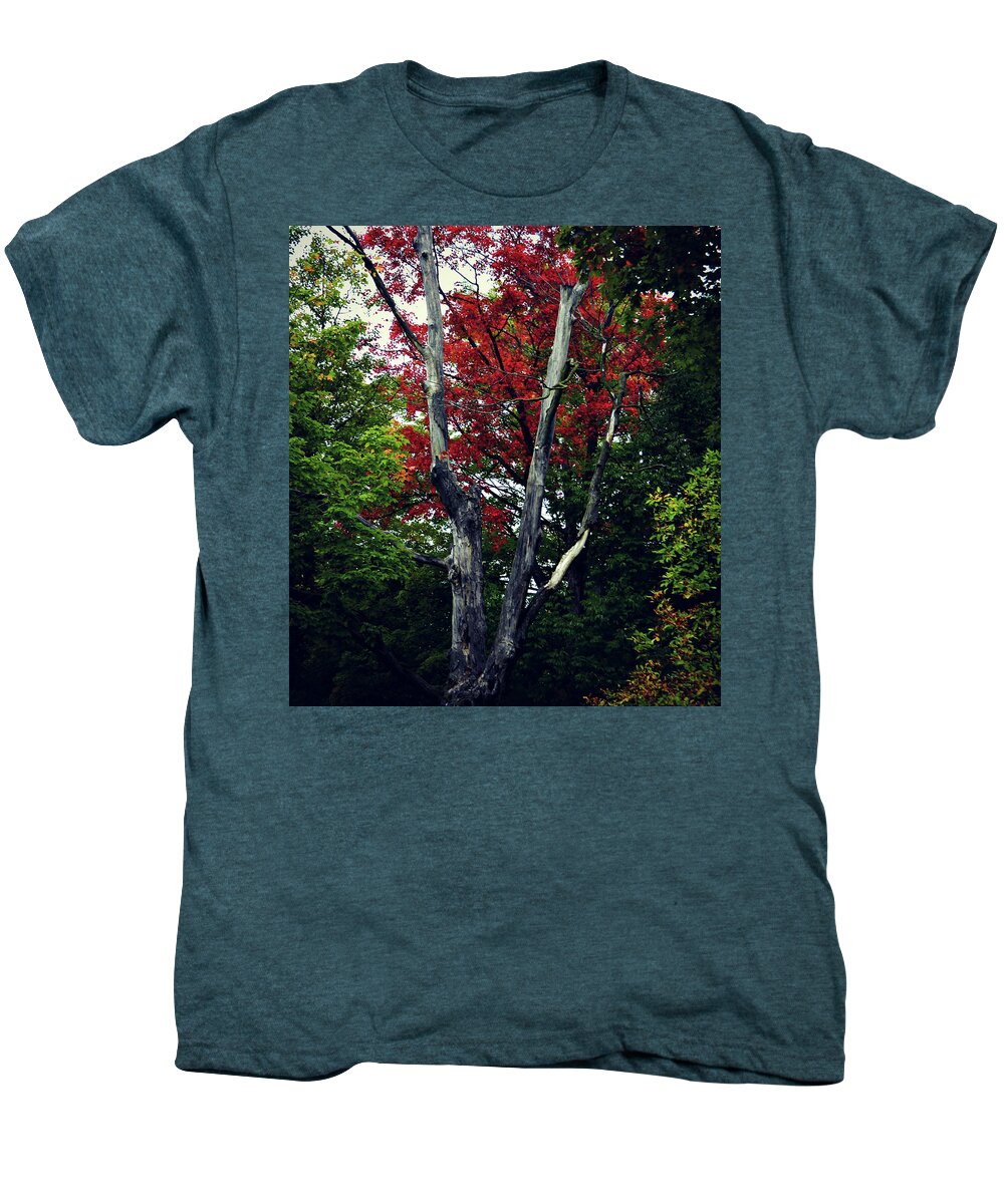 Decaying Red Men's Premium T-Shirt featuring the photograph Decaying Red by Cyryn Fyrcyd