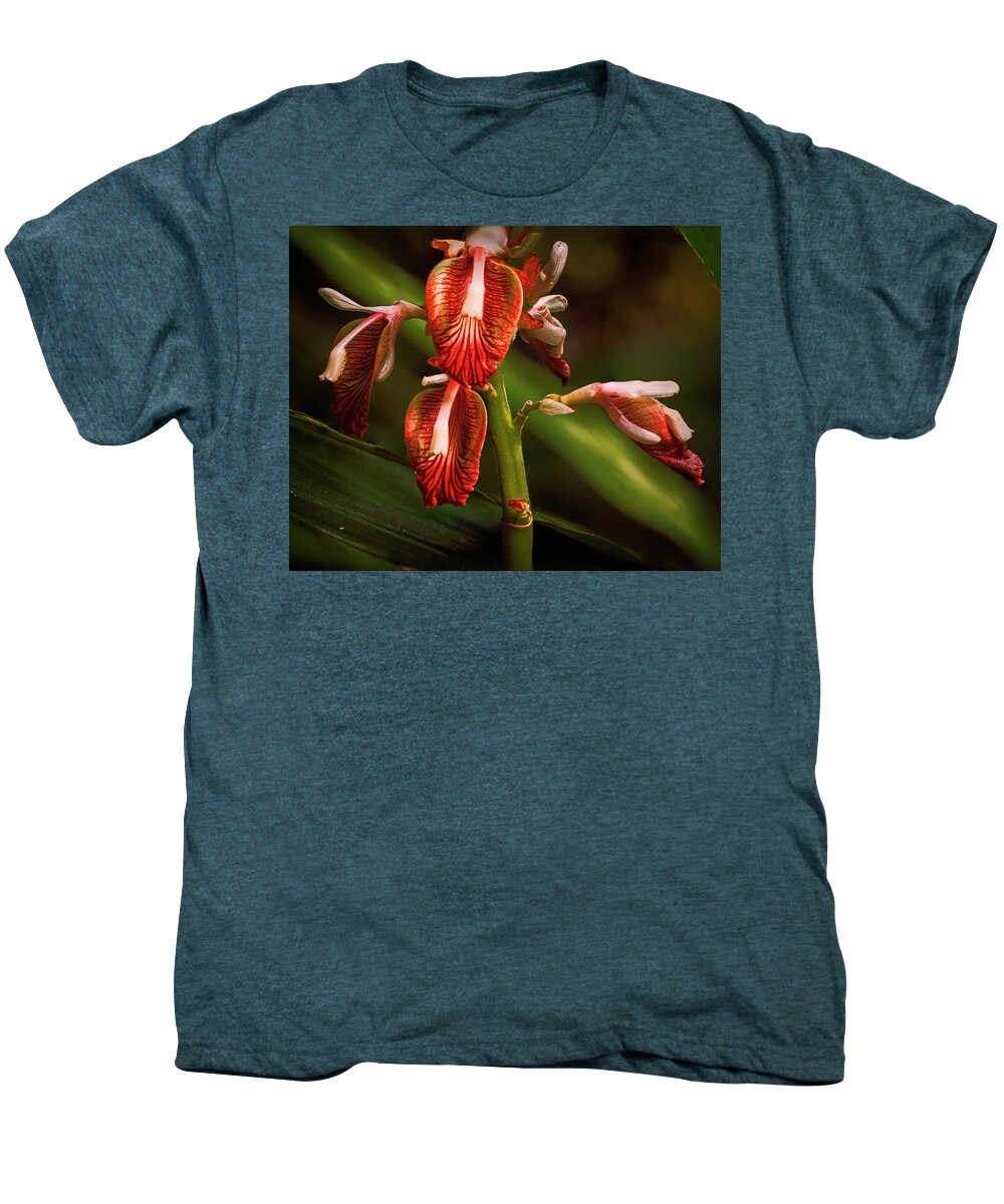 Red Men's Premium T-Shirt featuring the photograph Red Beauty by Penny Lisowski