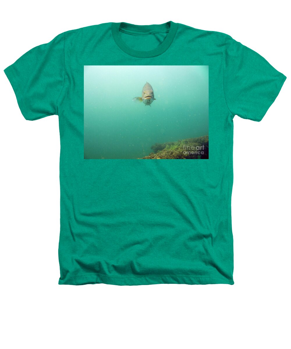 Smallmouth Bass Heathers T-Shirt featuring the photograph Smallmouth Bass #3 by Ted Kinsman