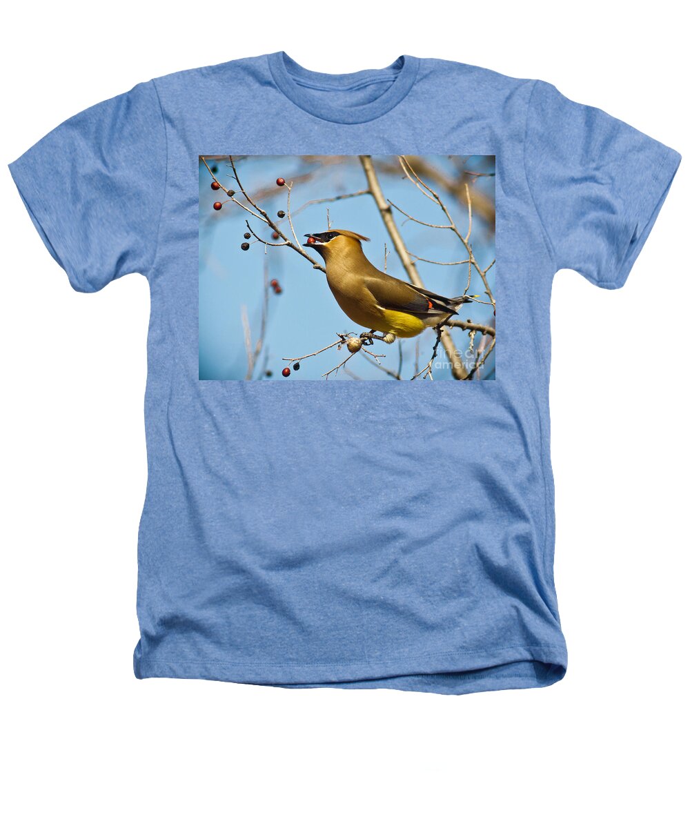 Nature Heathers T-Shirt featuring the photograph Cedar Waxwing With Berry #2 by Robert Frederick
