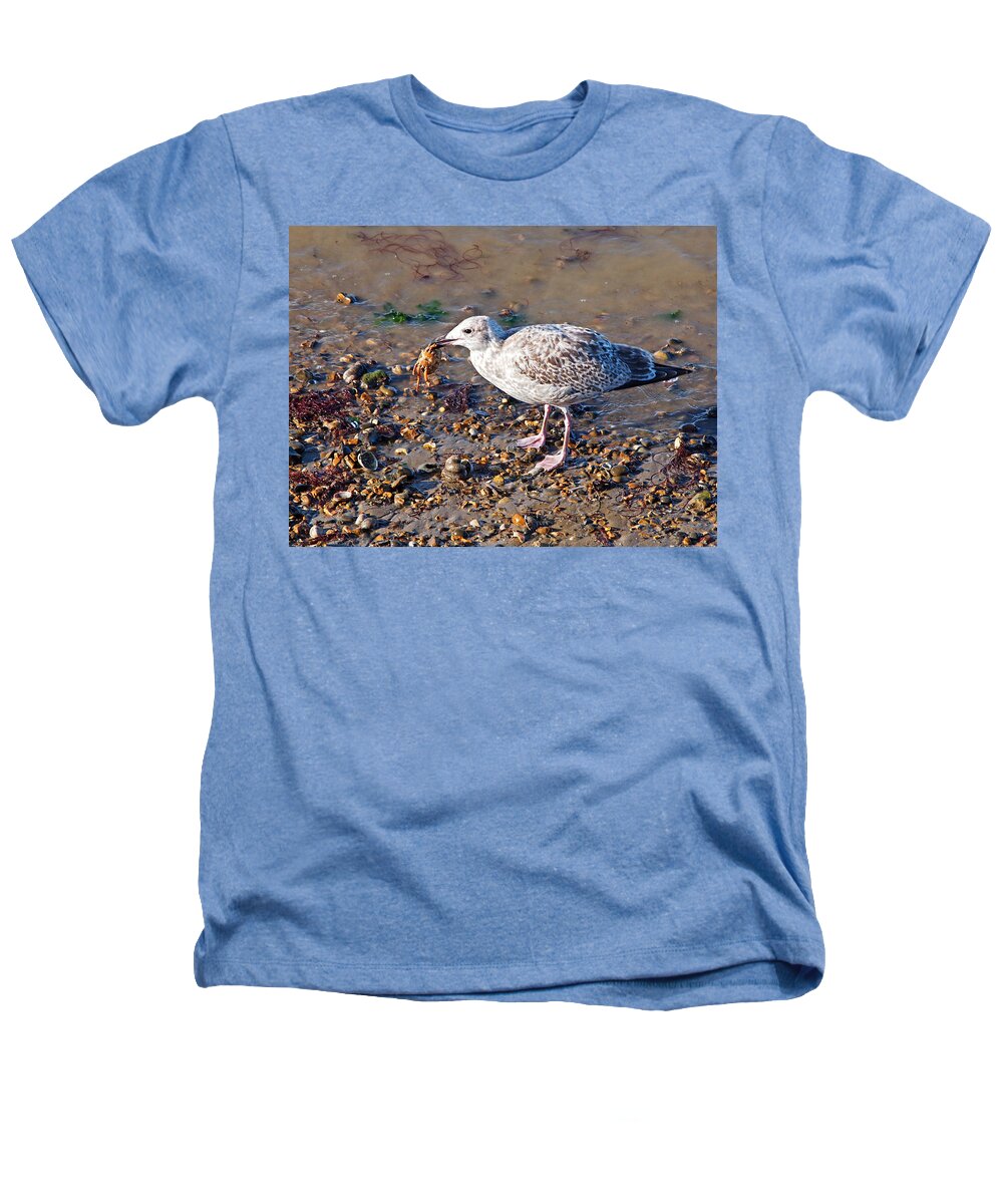 Seagull Heathers T-Shirt featuring the photograph Crab Supper by Gill Billington