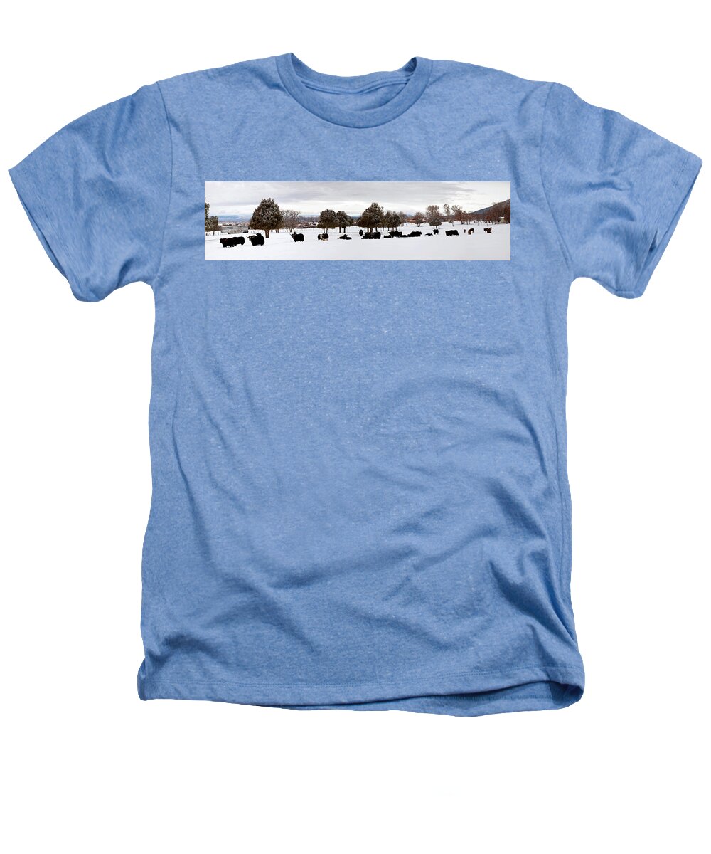 Photography Heathers T-Shirt featuring the photograph Herd Of Yaks Bos Grunniens On Snow by Panoramic Images