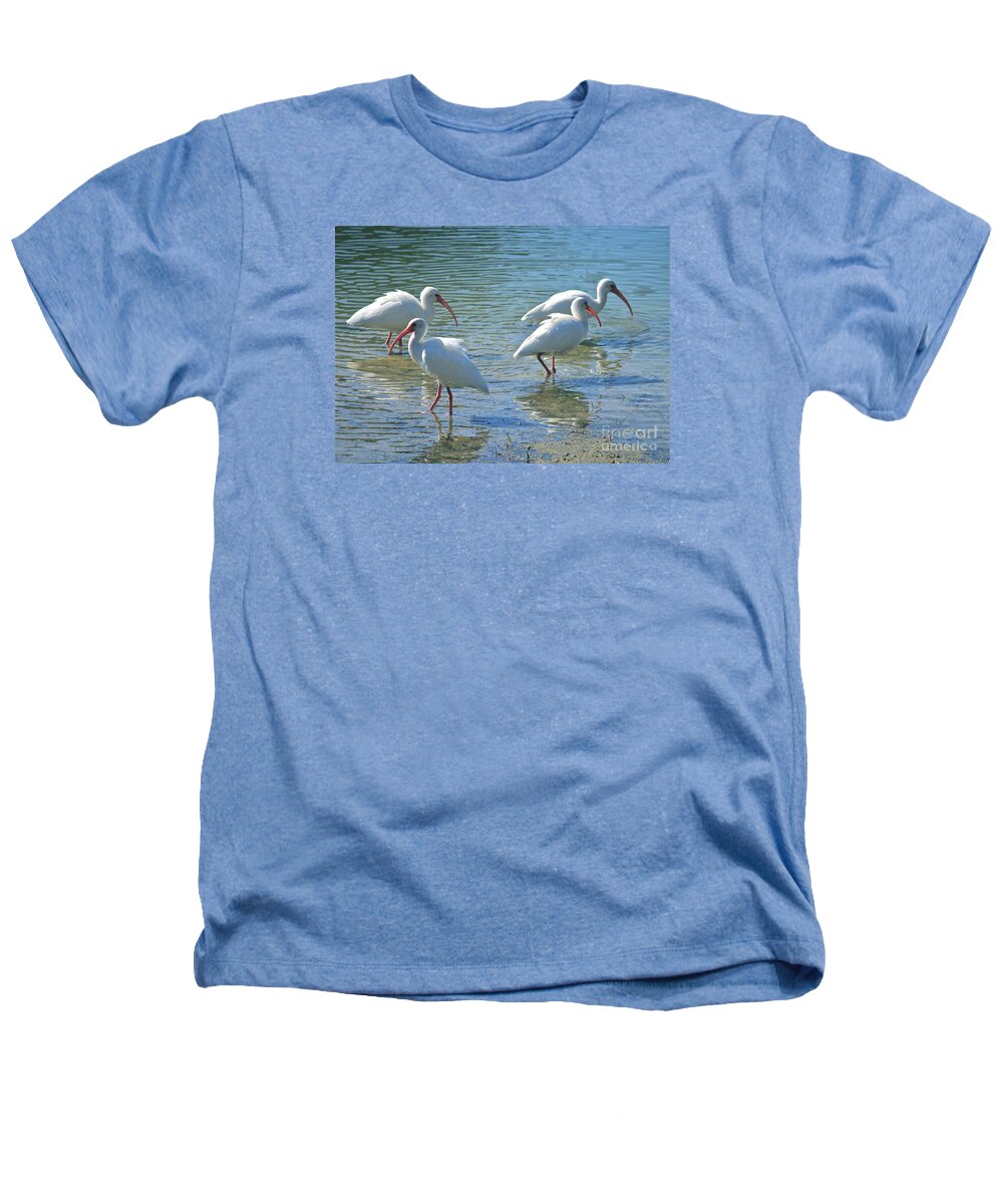 Ibis Heathers T-Shirt featuring the photograph Four Ibises by Carol Groenen