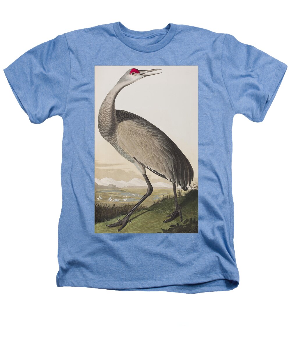 Hooping Crane Heathers T-Shirt featuring the painting Hooping Crane by John James Audubon