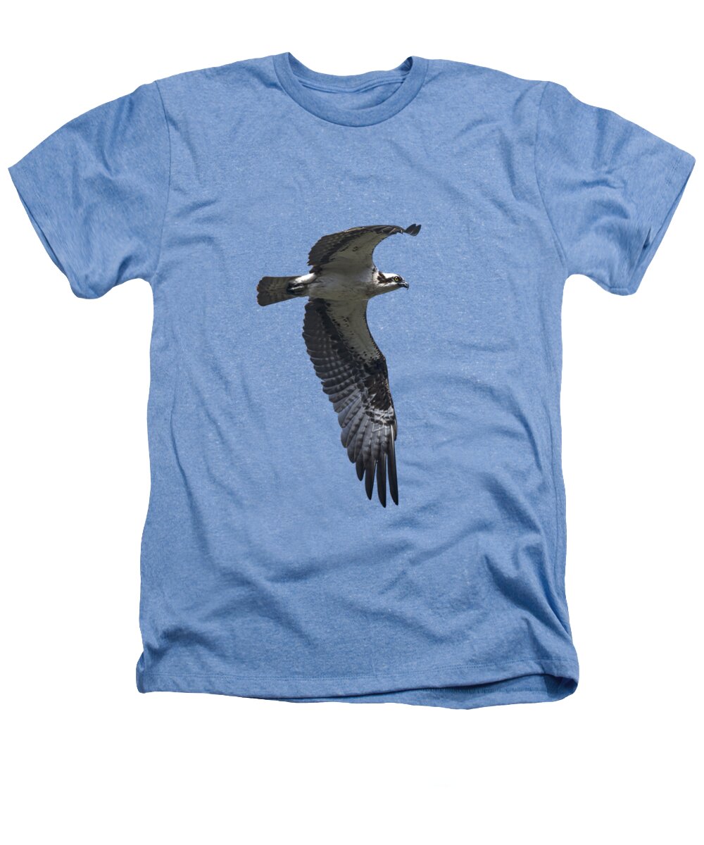 Osprey In Flight Heathers T-Shirt featuring the photograph Osprey in Flight 2 by Priscilla Burgers