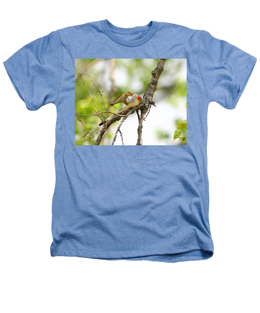 Animal Heathers T-Shirt featuring the photograph Scissortail Ballet by Robert Frederick