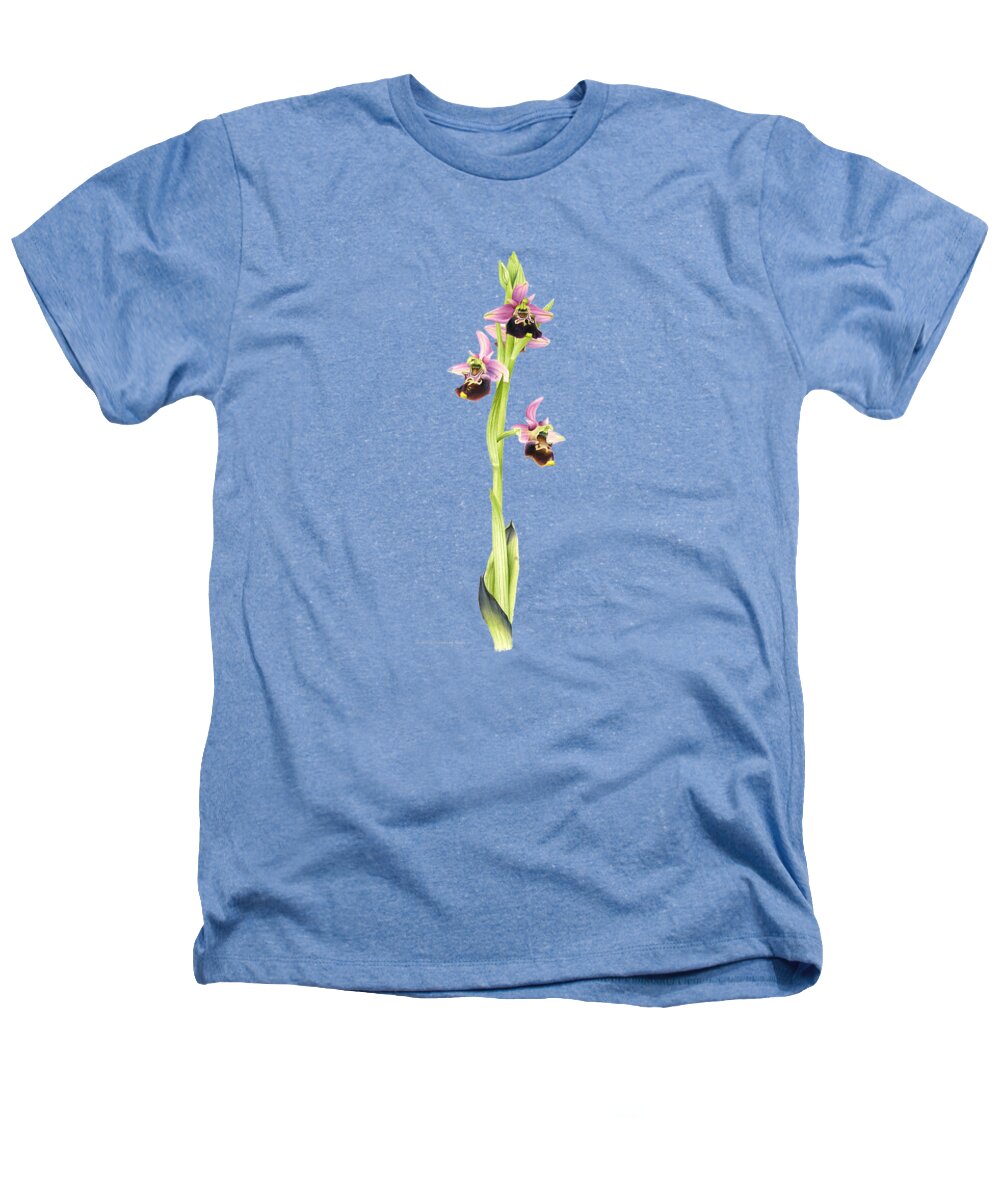  Heathers T-Shirt featuring the drawing Late Spider Orchid by Sarah Stribbling