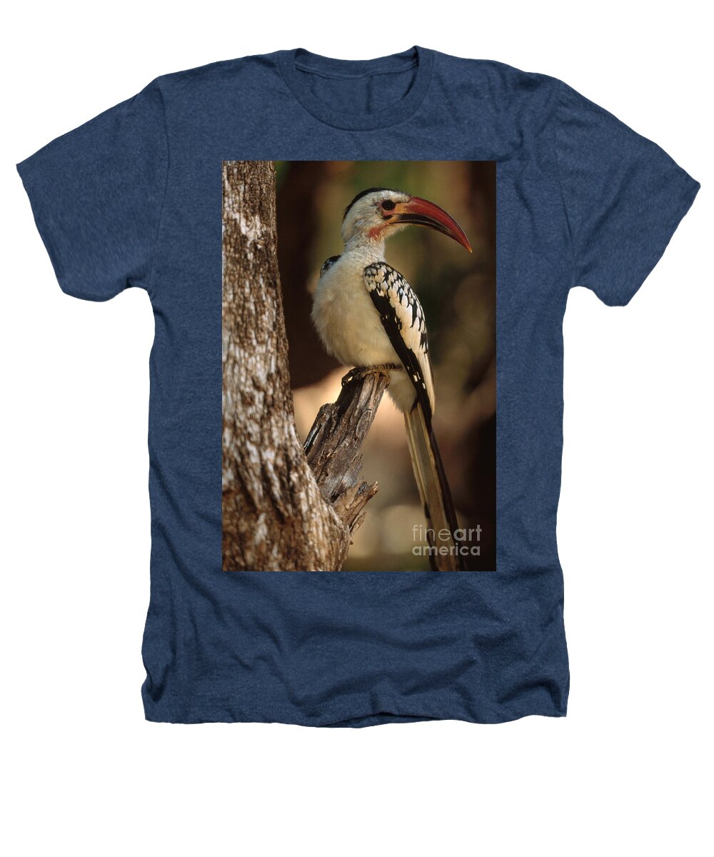 Red-billed Hornbill Heathers T-Shirt featuring the photograph Red-billed Hornbill by Art Wolfe