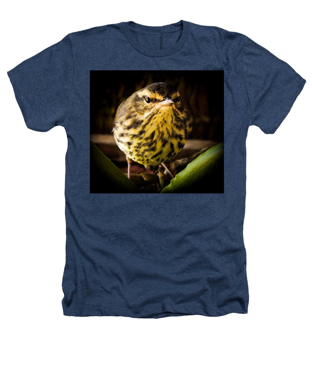 Warblers Heathers T-Shirt featuring the photograph Round Warbler by Karen Wiles