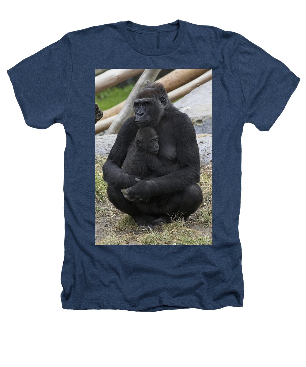 Feb0514 Heathers T-Shirt featuring the photograph Western Lowland Gorilla Mother And Baby by San Diego Zoo
