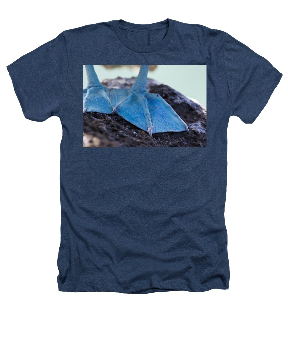 Animal Heathers T-Shirt featuring the photograph Blue Footed Booby by Dave Fleetham