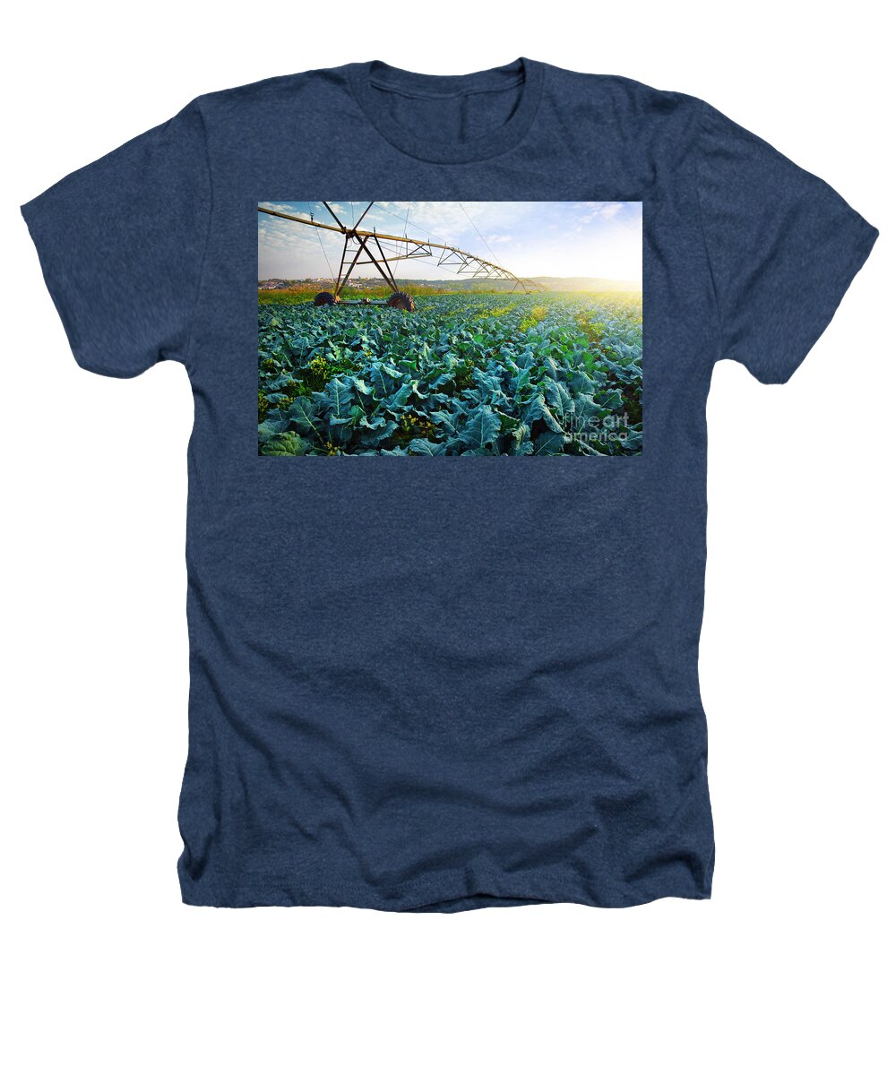 Agriculture Heathers T-Shirt featuring the photograph Cabbage Growth by Carlos Caetano