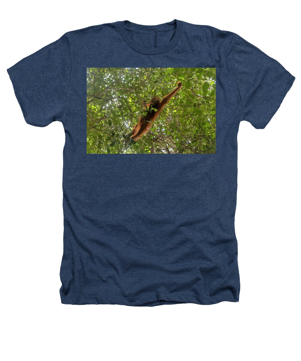 Animal Heathers T-Shirt featuring the photograph Bornean Orangutan Juvenile Male Brachiating Through Trees by Duncan Murrell / Naturepl.com
