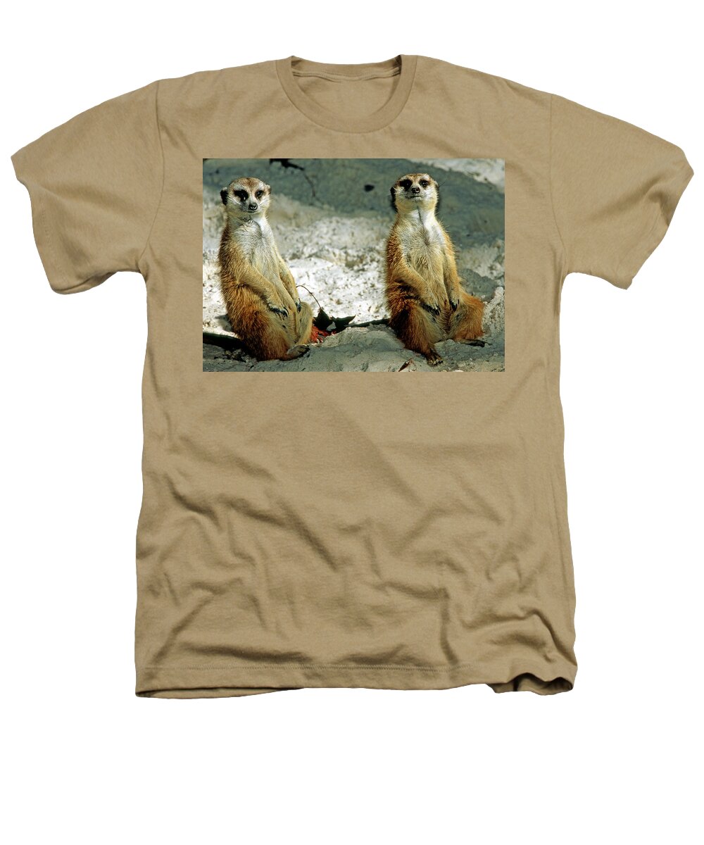Meerkat Heathers T-Shirt featuring the photograph Meerkats #11 by Millard H. Sharp