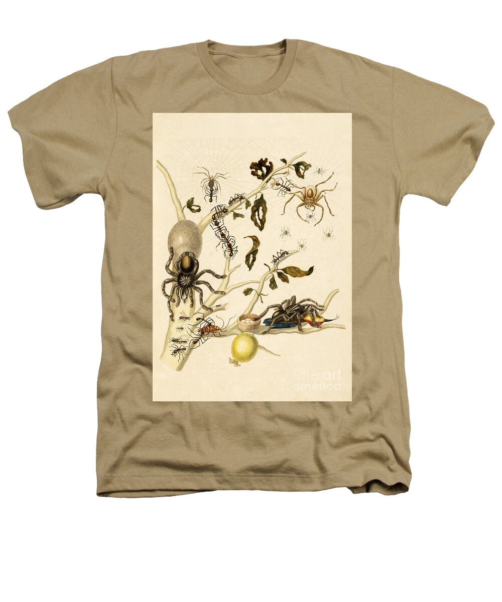 Branch Heathers T-Shirt featuring the photograph Ants, Spiders, Tarantula and Hummingbird by Getty Research Institute