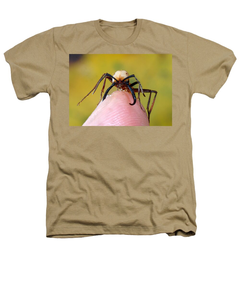Animal Heathers T-Shirt featuring the photograph Army Ant by Francesco Tomasinelli