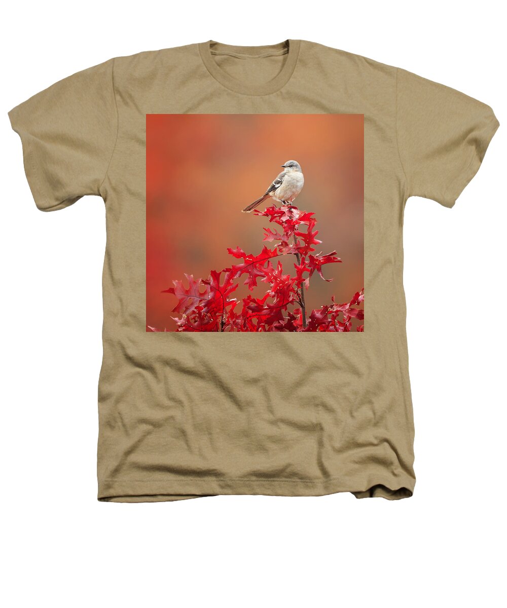Square Heathers T-Shirt featuring the photograph Mockingbird Autumn Square by Bill Wakeley
