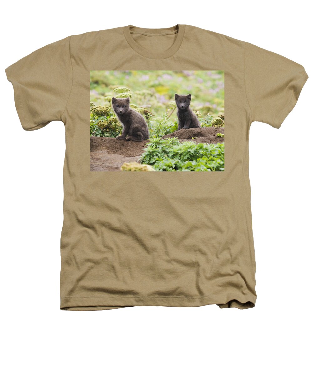 Daytime Heathers T-Shirt featuring the photograph Two Arctic Fox Kits Sitting Near Their by John Gibbens