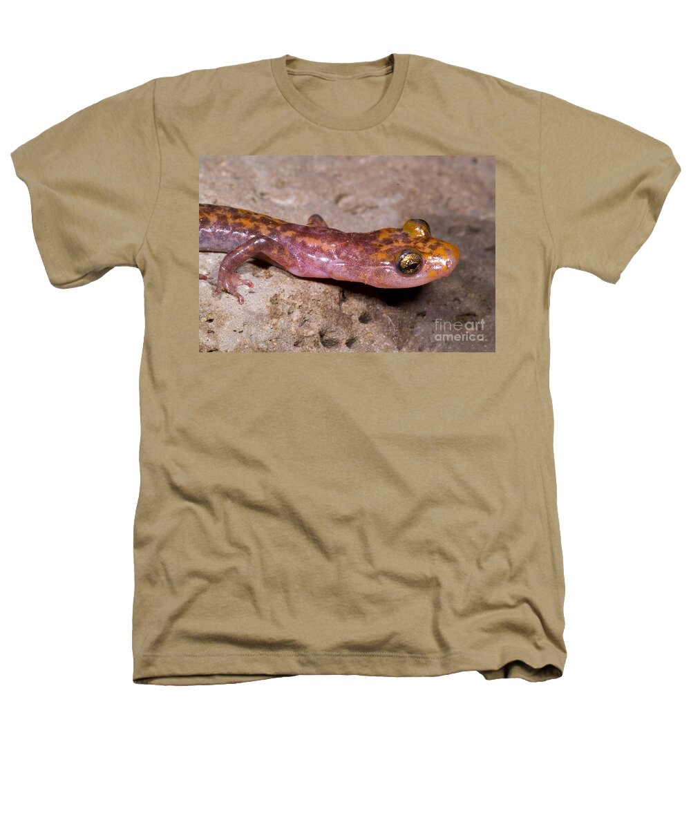 Eurycea Lucifuga Heathers T-Shirt featuring the photograph Cave Salamander #8 by Dante Fenolio