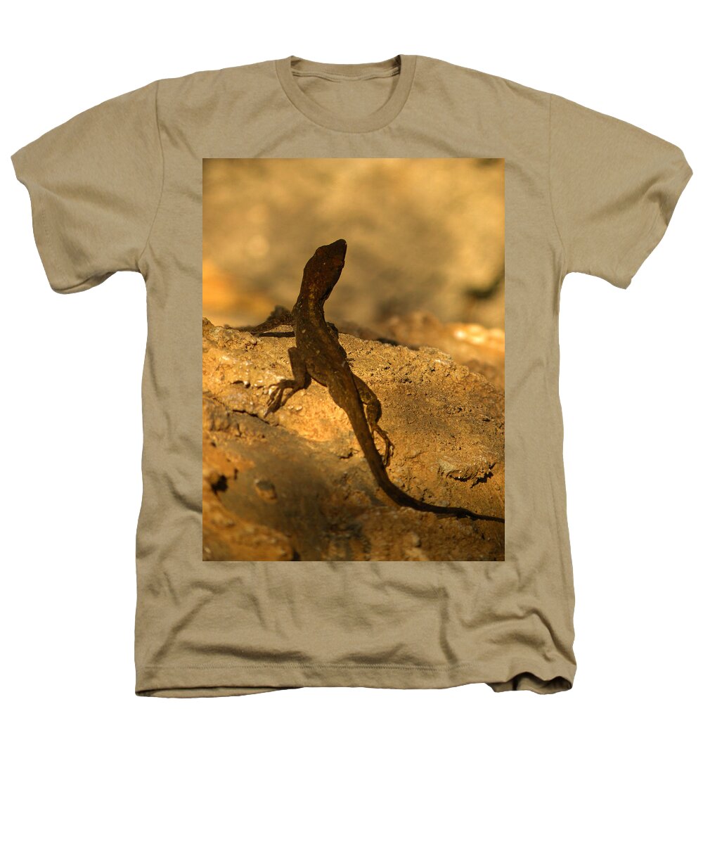 Lizard Heathers T-Shirt featuring the photograph Leapin' Lizards by Trish Tritz