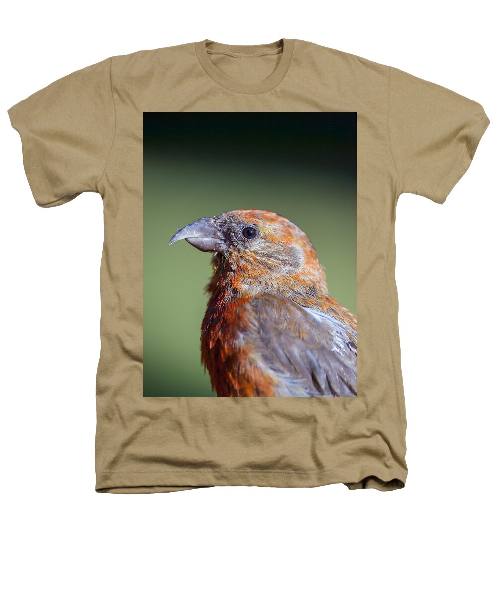 Red Crossbill Heathers T-Shirt featuring the photograph Red Crossbill by Derek Holzapfel